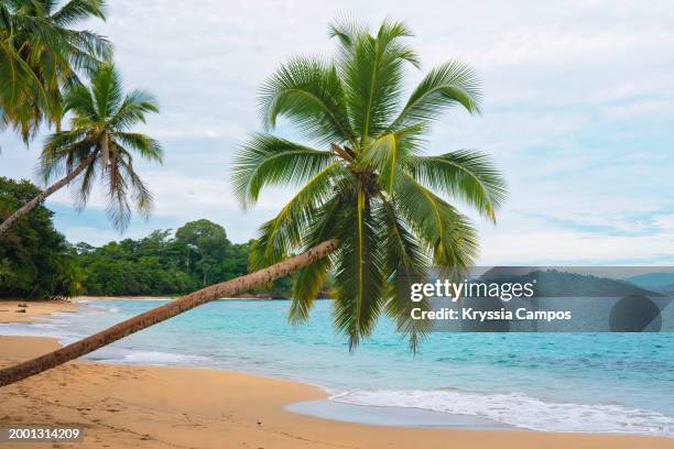caribbean dream: picture-perfect beachscape in costa rica - cahuita stock-fotos und bilder