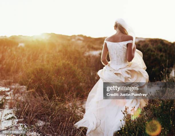 bride walking through grassy sand dunes, rear view - wedding dress stock pictures, royalty-free photos & images