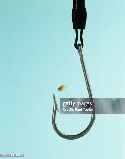 small goldfish and large fish hook - hameçon photos et images de collection