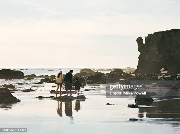 parents walking with son (4-6) on beach, rear view - malibu beach stockfoto's en -beelden