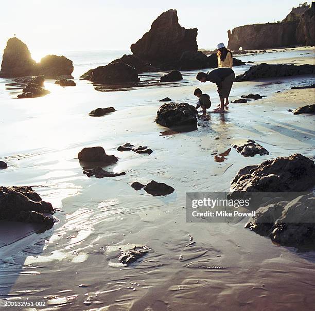 parents looking at rocks with son (4-6) on beach - malibu beach stock pictures, royalty-free photos & images