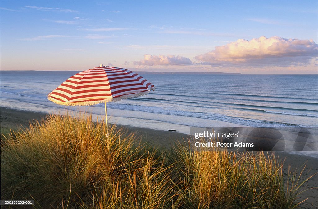 England, Devon, Saunton Sands, parasol on grassy dune