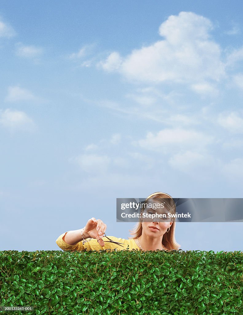 Woman cutting hedge with scissors