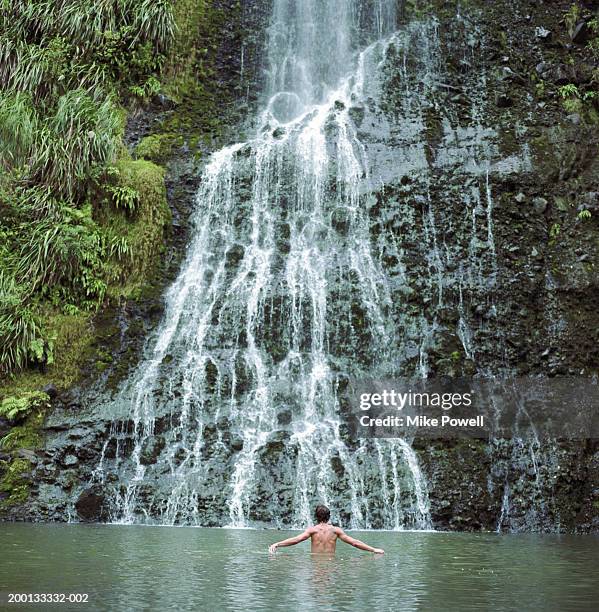 man wading at foot of waterfalls, rear view - north island new zealand stock pictures, royalty-free photos & images