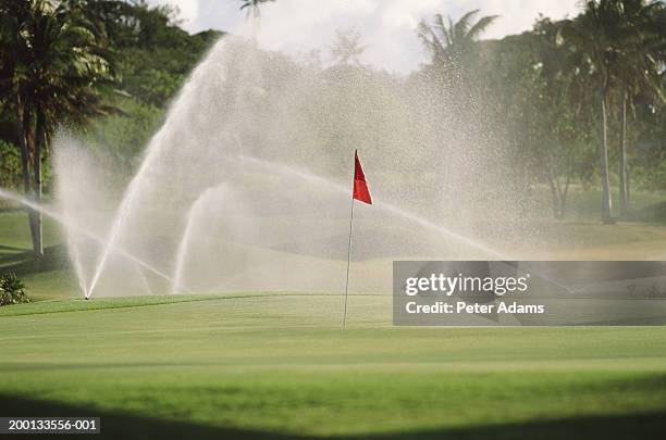 sprinklers watering golf course - annaffiatore foto e immagini stock