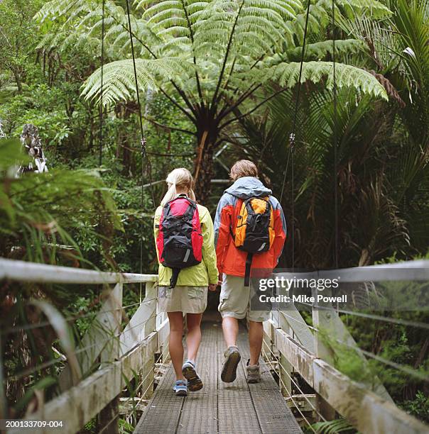 Waitakere Ranges Walk 120 Regional Park Waitakere Ranges Stock Photos, High-Res Pictures, and ...