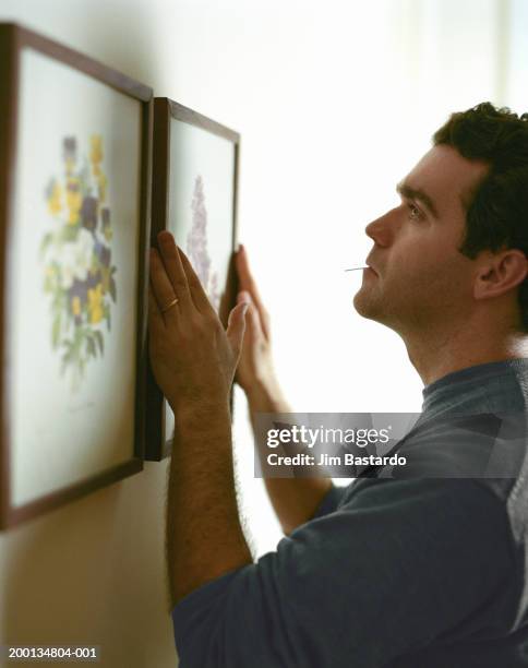 man lining up pictures on wall, side view - hanging stock-fotos und bilder