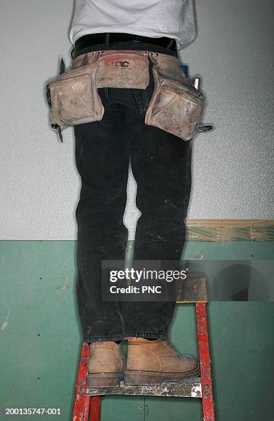 man on step ladder wearing tool belt, rear view, low section - pantalon stockfoto's en -beelden