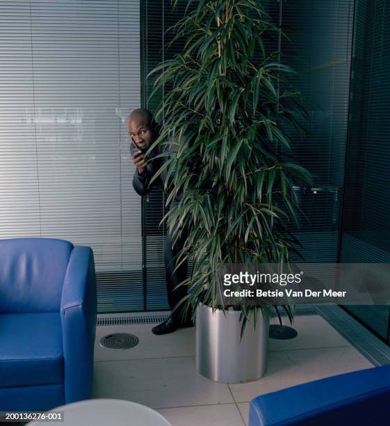 man using walkie-talkie, body obscured by potted plant, indoors - camo man stock pictures, royalty-free photos & images