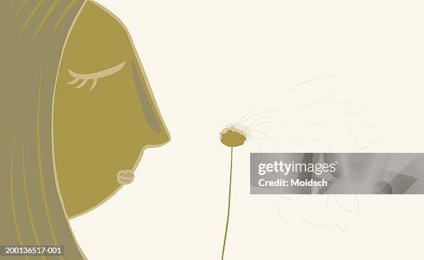 girl (10-12) blowing seeds off dandelion seed head, profile - 11 12 years stock illustrations