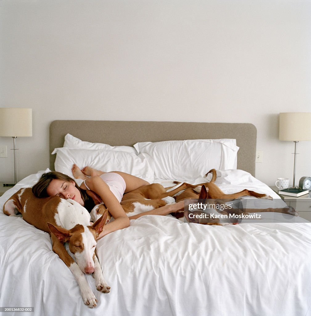 Young woman sleeping with three Ibizan hounds on bed