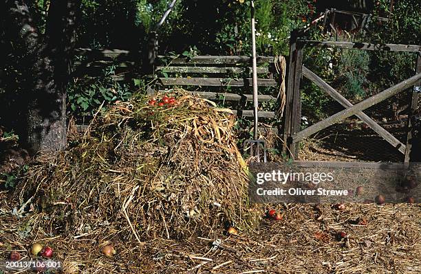 compost heap and red apples by pitch fork and fence - compost stock pictures, royalty-free photos & images