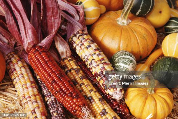 display of indian corn, squash and pumpkins, close-up - indian corn stock-fotos und bilder