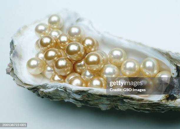 pearls in oyster shell. close-up - perle foto e immagini stock