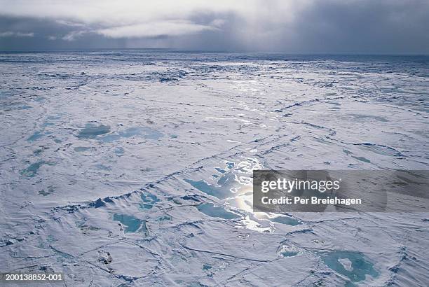 russia, franz josef land, path through ice - glacial ice sheet stock pictures, royalty-free photos & images