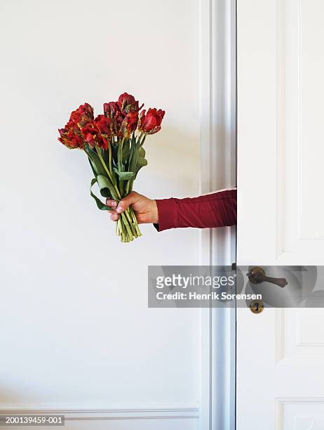 man holding bunch of red roses from behind door - blumenstrauß stock-fotos und bilder
