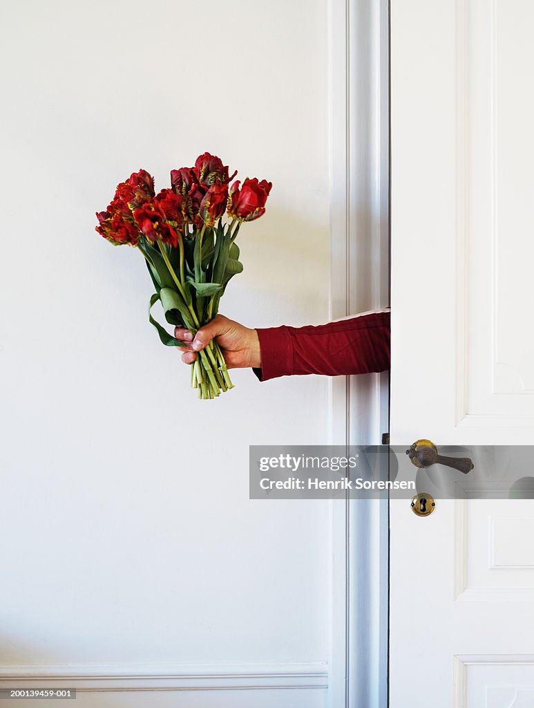 Man holding bunch of red roses from behind door