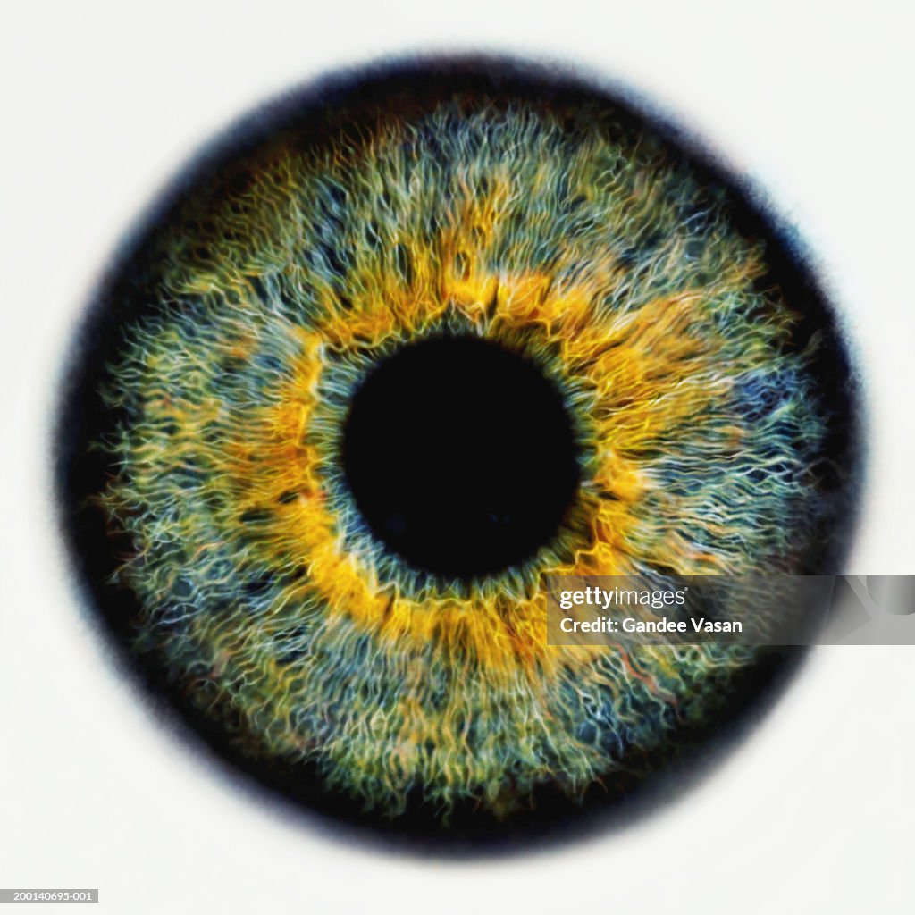 Iris of eye, close-up (Digital Enhancement)