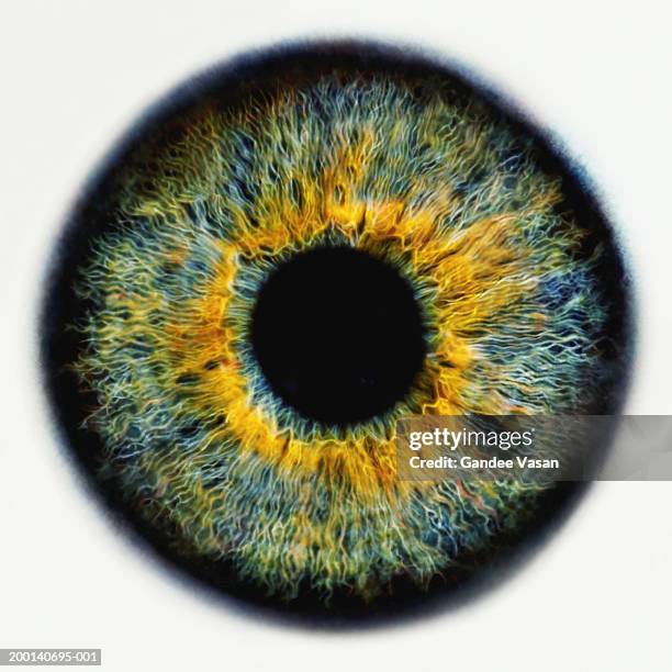 iris of eye, close-up (digital enhancement) - iris auge stock-fotos und bilder