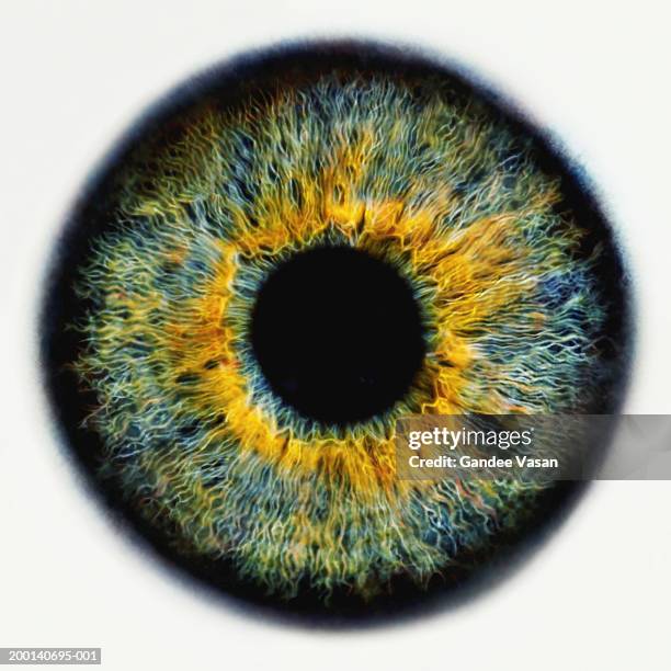 iris of eye, close-up (digital enhancement) - 虹彩 ストックフォトと画像