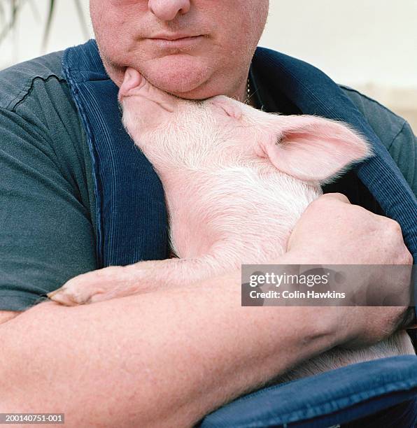 man embracing piglet, close up - cute pig stock pictures, royalty-free photos & images