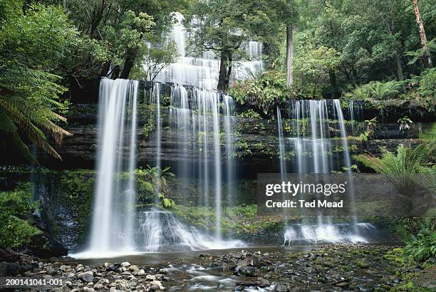 australia, tasmania, mount field national park, russell falls - ted russell photos et images de collection