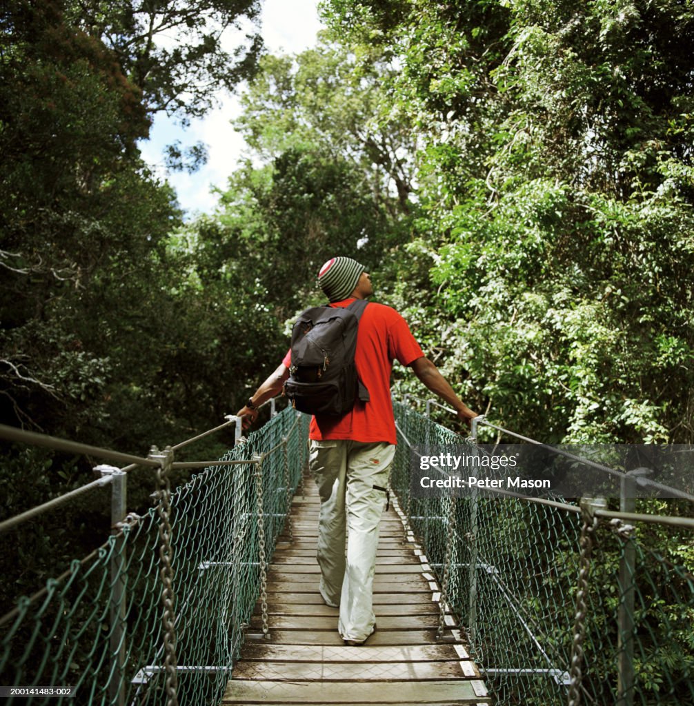 Man walking across slatted suspension bridge, rear view