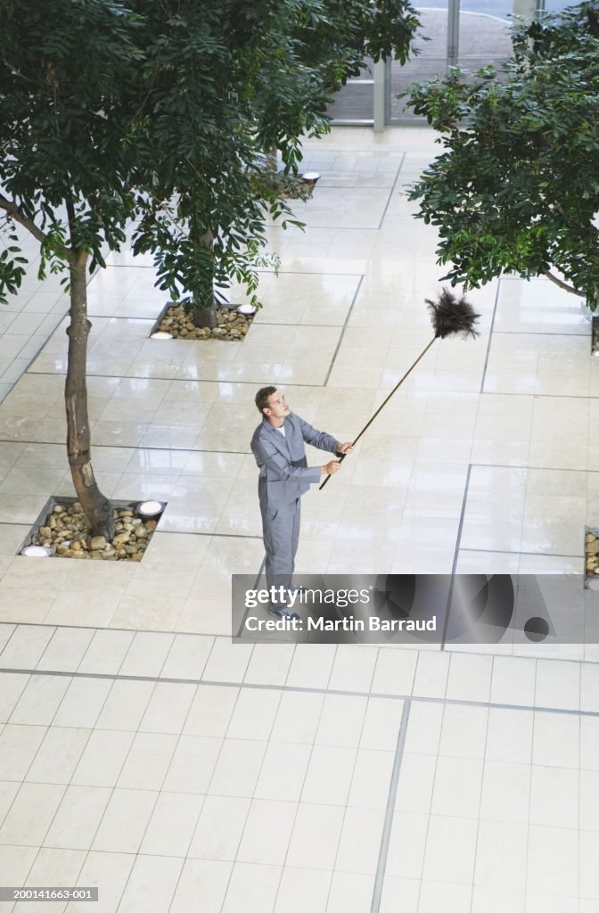Man Dusting Tree In Foyer With Feather Duster Elevated View High-Res ...