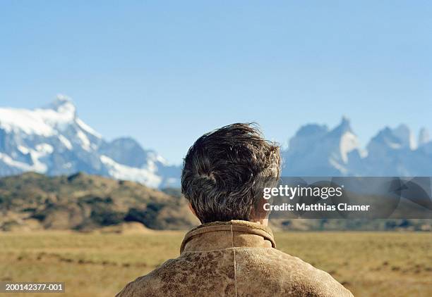 chile, patagonia, man looking at mountains, rear view, close-up - man rear view grey hair closeup stock pictures, royalty-free photos & images