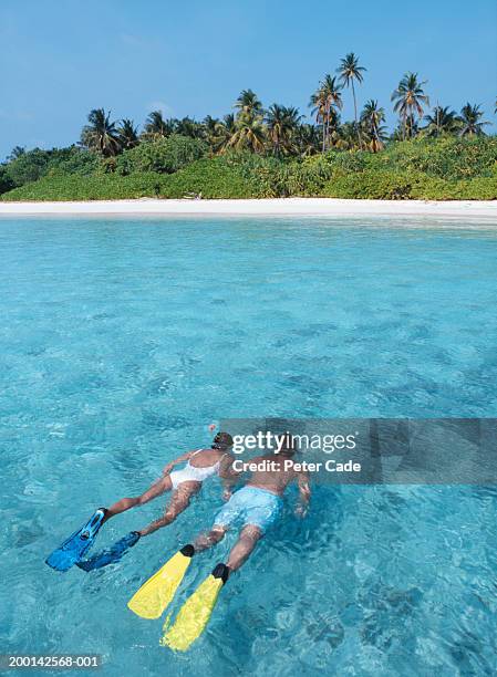 couple snorkelling in sea, arms linked, elevated view - zwemvliezen stockfoto's en -beelden