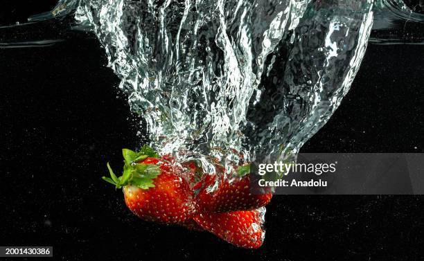 Strawberries are seen after splashing in water in Ankara, Turkiye on February 07, 2024.