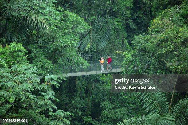 costa rica, la fortuna, arenal hanging bridges - arenal volcano stockfoto's en -beelden