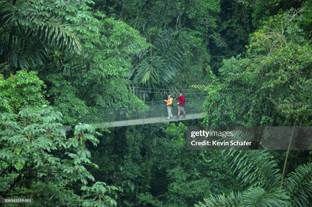 Costa Rica, La Fortuna, Arenal Hanging Bridges