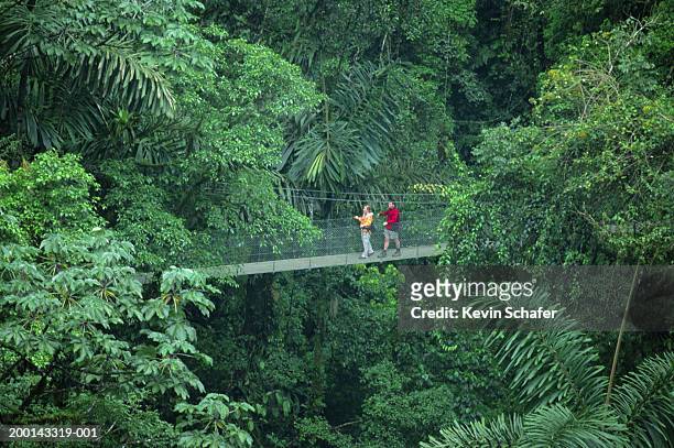 costa rica, la fortuna, arenal hanging bridges - costa rica stock pictures, royalty-free photos & images