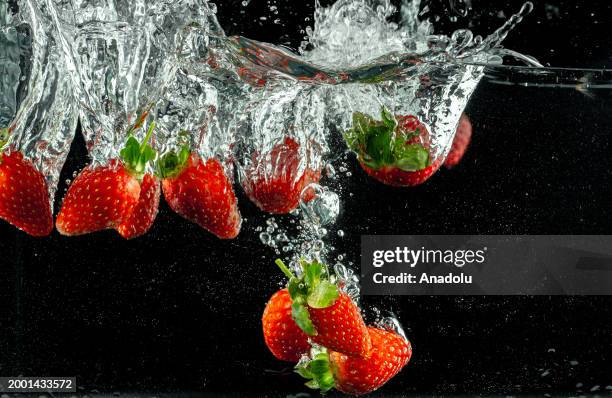 Strawberries are seen after splashing in water in Ankara, Turkiye on February 07, 2024.