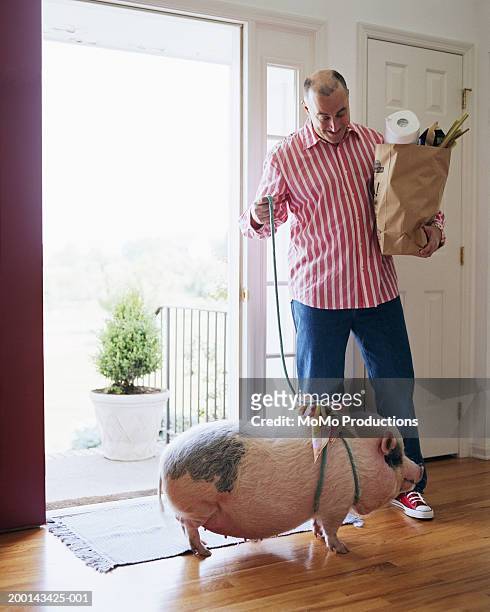 man entering home with groceries and pig on leash - denim arrivals stock pictures, royalty-free photos & images