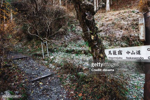 the nakasendo road in the forest of nagano prefecture, japan - 木曽山脈 ストックフォトと画像