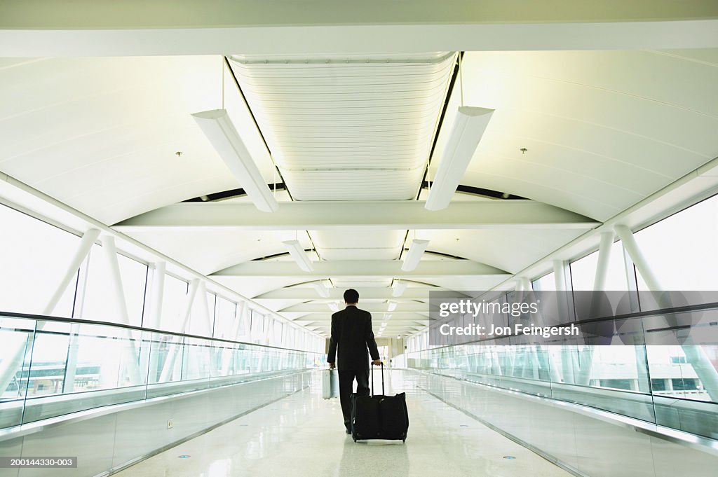 Businessman on motorized walkway in airport, rear view