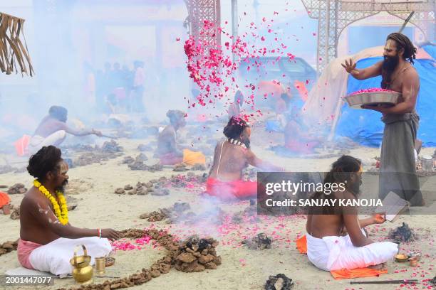 Sadhus or Hindu Holy men perform a ritual by burning dried cow dung at the Sangam, the confluence of rivers Ganges, Yamuna and mythical Saraswati on...