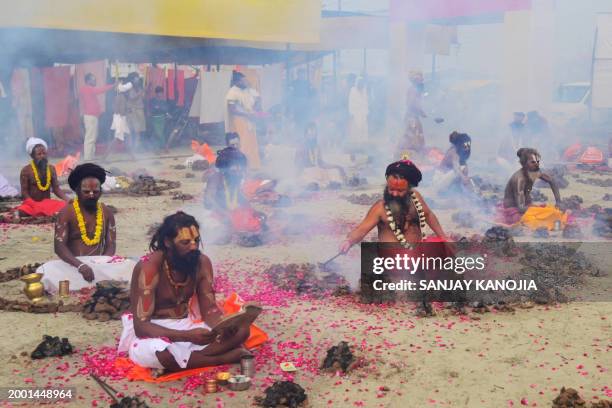 Sadhus or Hindu Holy men perform a ritual by burning dried cow dung at the Sangam, the confluence of rivers Ganges, Yamuna and mythical Saraswati on...