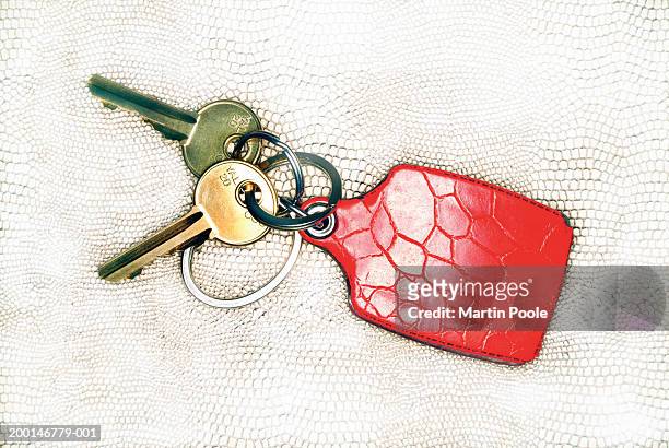 two keys on red keyring - sleutelring stockfoto's en -beelden