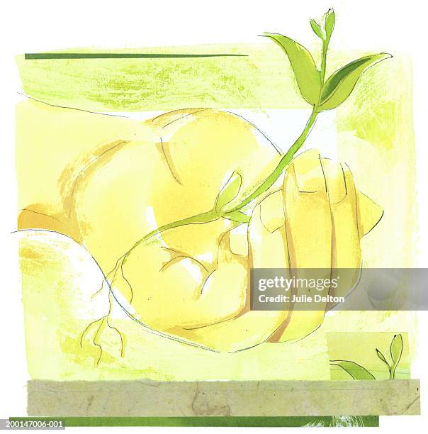seedling in cupped hand - cupped hands stock illustrations