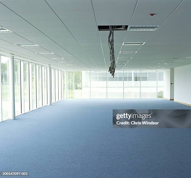 cables hanging from gap in ceiling in empty office - teppich unfertig stock-fotos und bilder