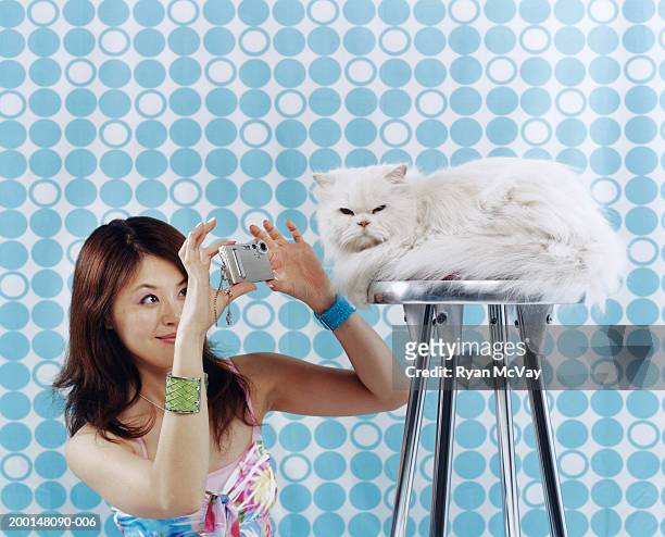 young woman taking photograph of persian cat - ignore stock pictures, royalty-free photos & images
