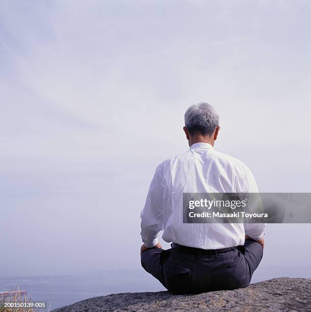 senior businessman sitting on rock overlooking water, rear view - outdoor guy sitting on a rock stockfoto's en -beelden