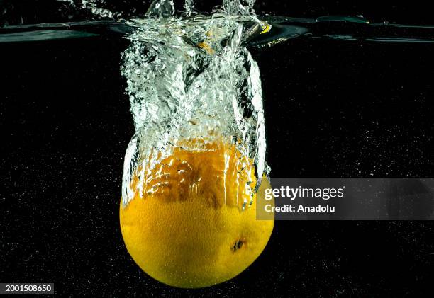 Grapefruit is seen after splashing in water in Ankara, Turkiye on February 07, 2024.