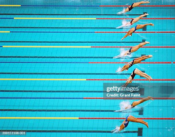 female competition swimmers diving into pool, elevated view, side view - diving sport stockfoto's en -beelden