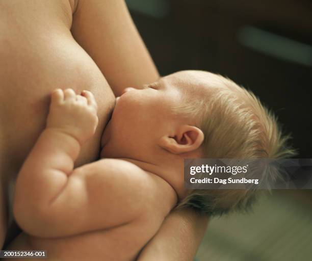 mother breastfeeding baby girl (6-9 months), close-up - allattamento foto e immagini stock