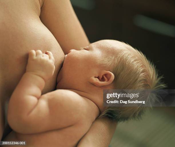 mother breastfeeding baby girl (6-9 months), close-up - dag 2 stock pictures, royalty-free photos & images
