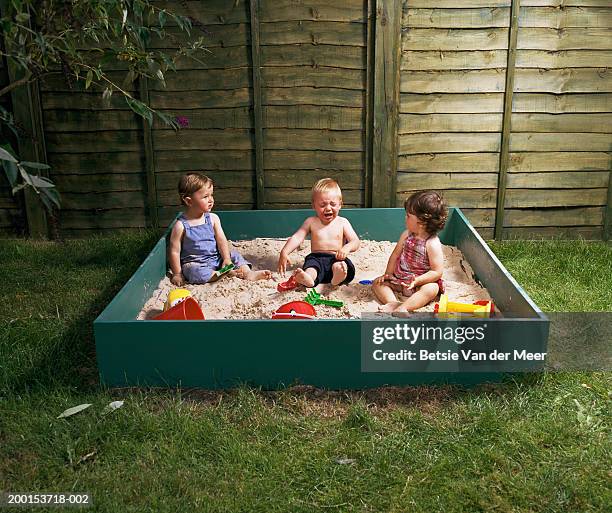two baby boys and girl (12-15 month) in sand pit, boy in middle crying - sandlåda bildbanksfoton och bilder